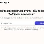 InSnoop Instagram story viewer dashboard showing anonymous viewing feature