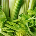 Fresh stalks of pravi celer ready for cooking and juicing
